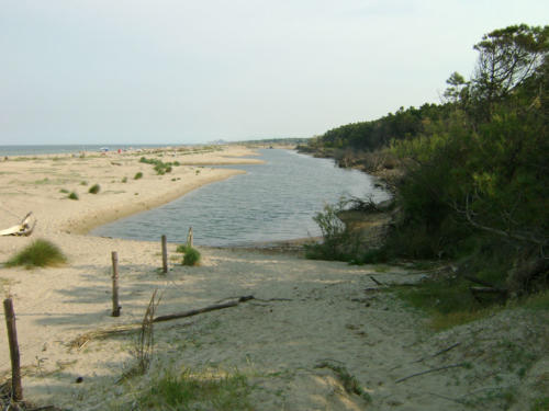 Dune-foce-del-Bevano